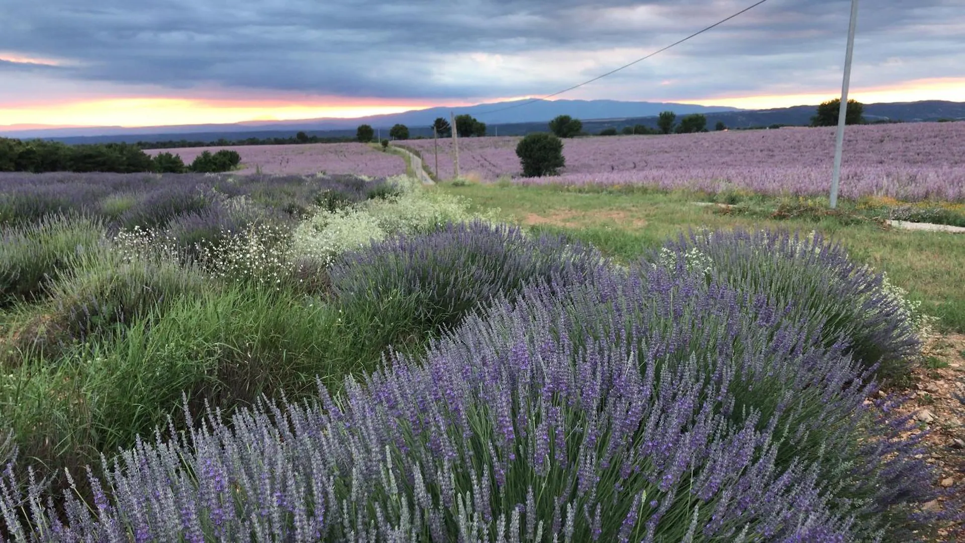 Domaine De La Blache Saint-Jurs Holiday home