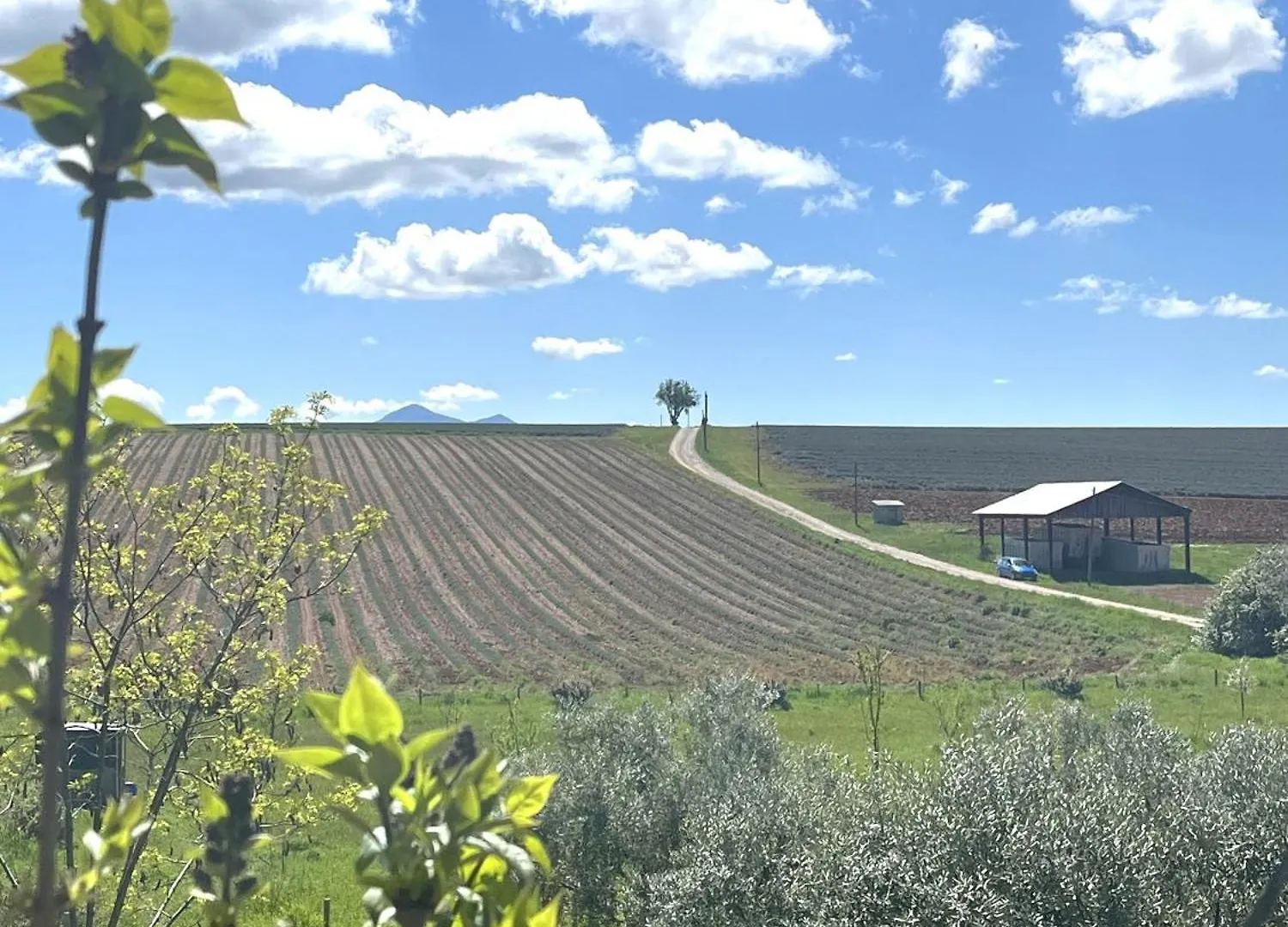 Holiday home Domaine De La Blache Saint-Jurs