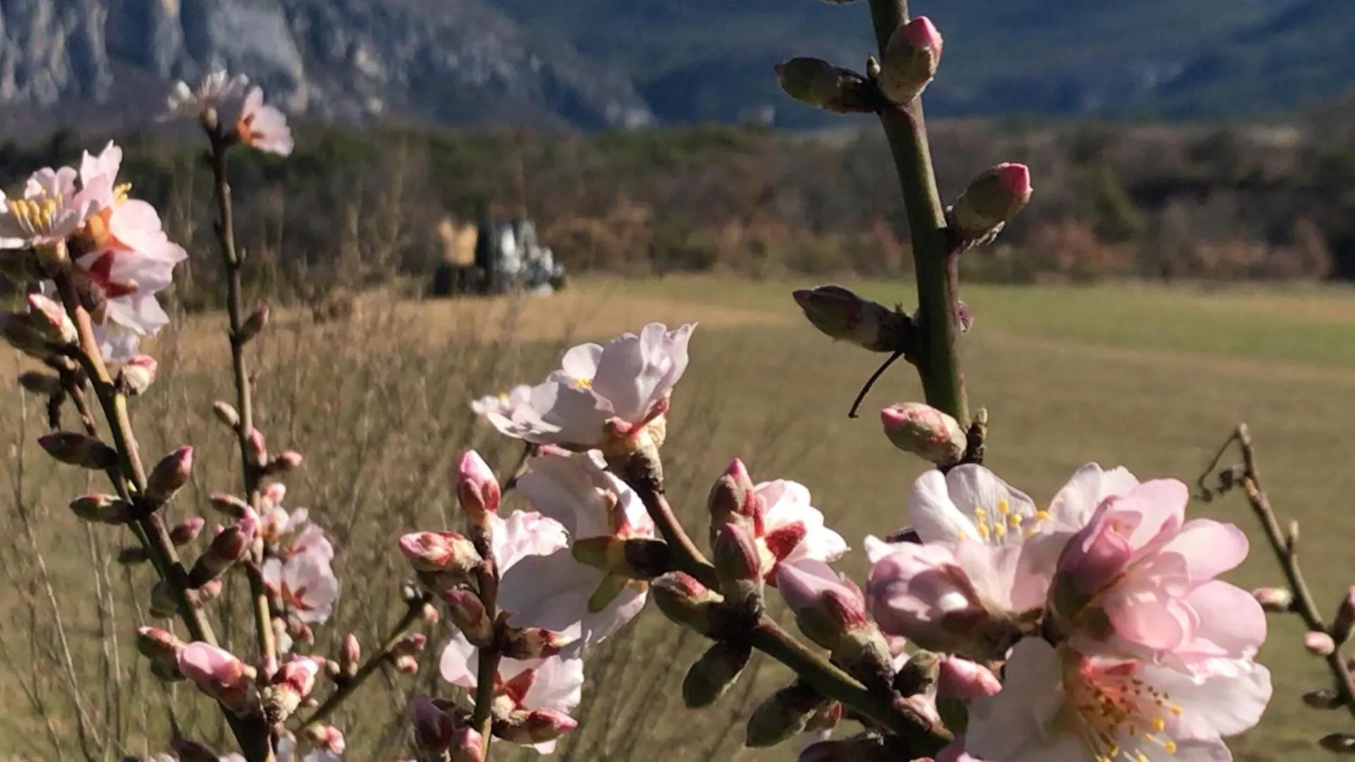 Semesterbostad Domaine De La Blache Saint-Jurs